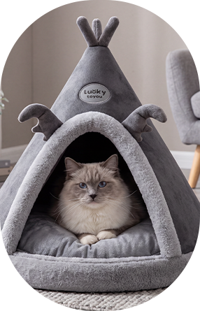 Lit en mousse pour animaux de compagnie